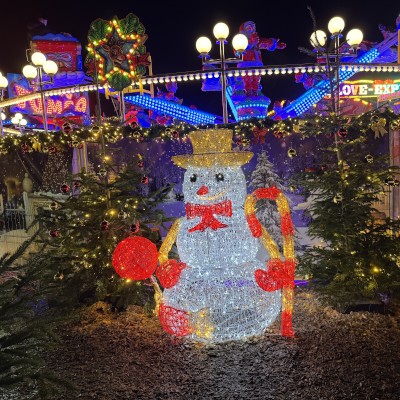 The Forest of Lights at the Cranger Weihnachtszauber